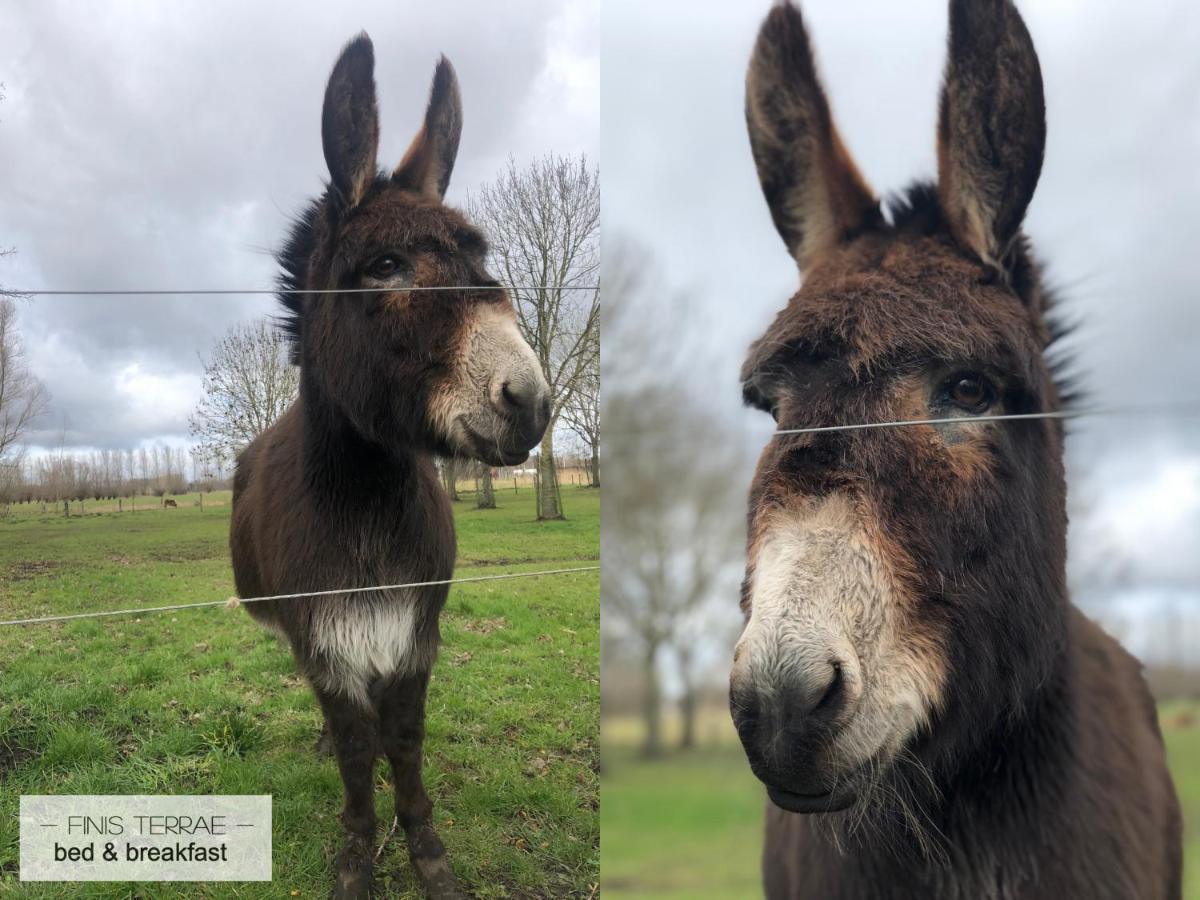 Appartement Aan Puyenbroeck Wachtebeke Bagian luar foto